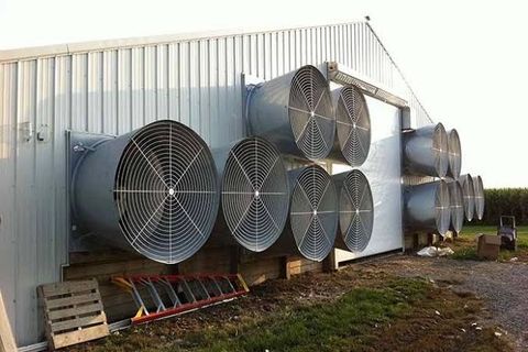 Poultry Ventilation Systems: Explore Modern Airflow and Climate Control