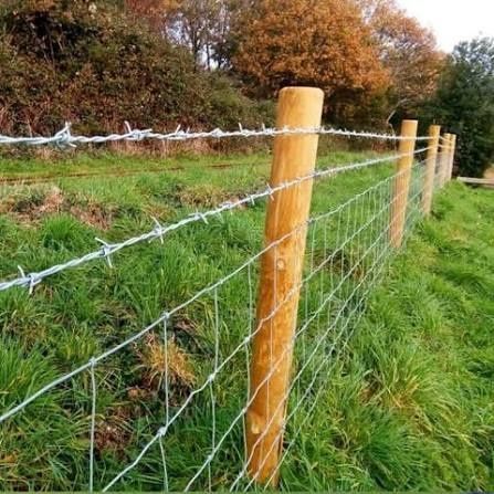 Barbed Wire Fencing Explore: Key Uses, Types, and Safety Basics